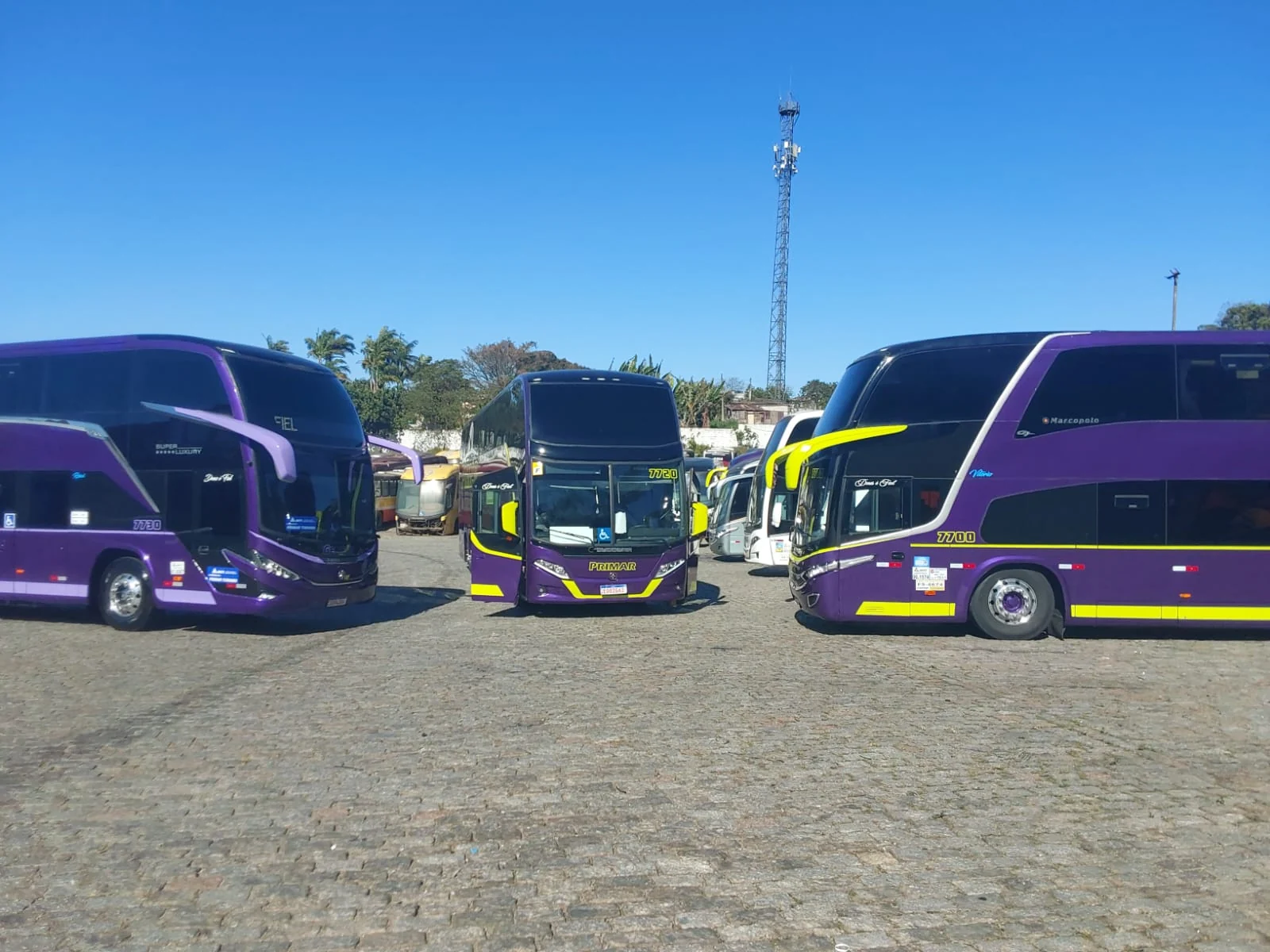 Frota Genesis Tur